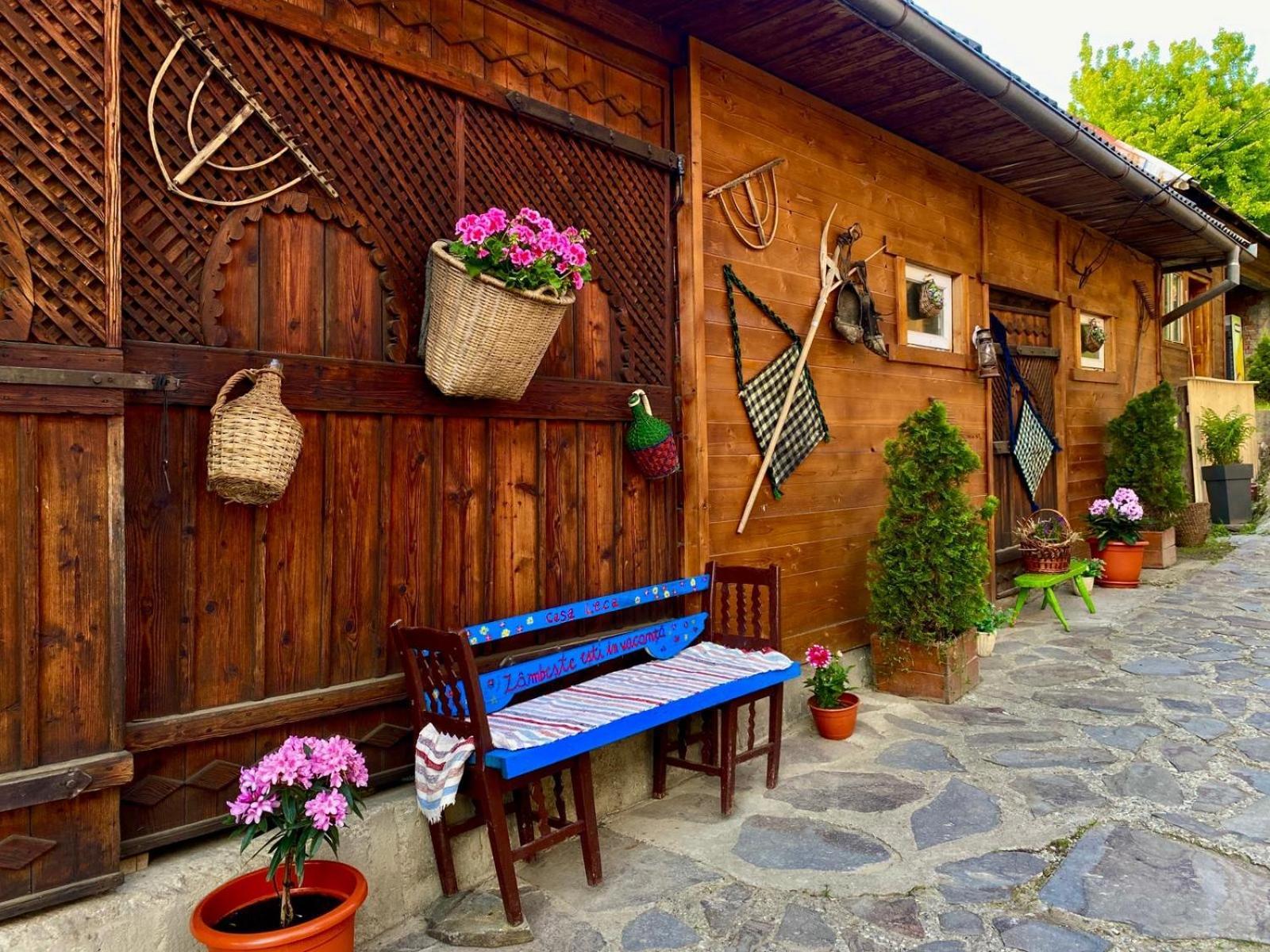 ホテル Casa Leca Breb エクステリア 写真